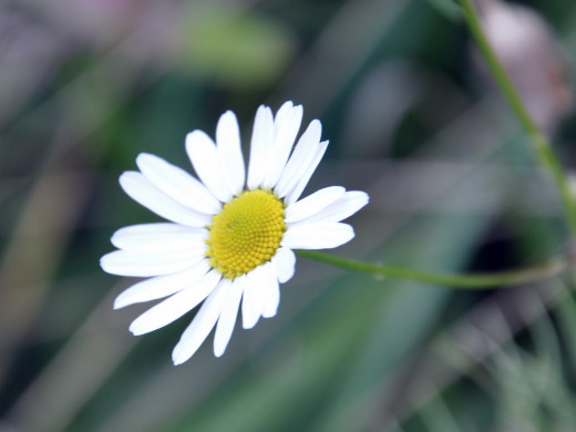 429316 (a): :1600x1200
